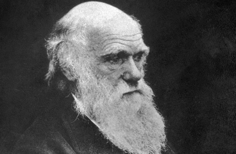ជីវិត និង​ស្នាដៃ​របស់ ហ្សាល ដាវីន (Charles Darwin, 1809-1882)