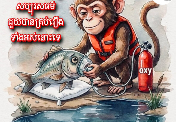 Monkey and Fish